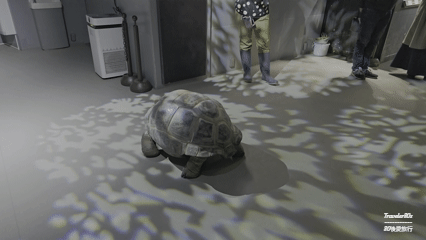 18 Atoa 水族館 (144).gif