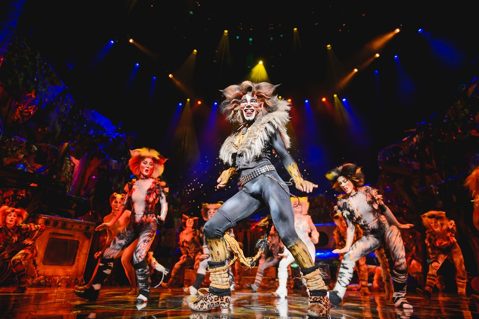 世界著名音樂劇 CATS 來臨澳門威尼斯人劇場 | 澳門生活誌 | CyberCTM