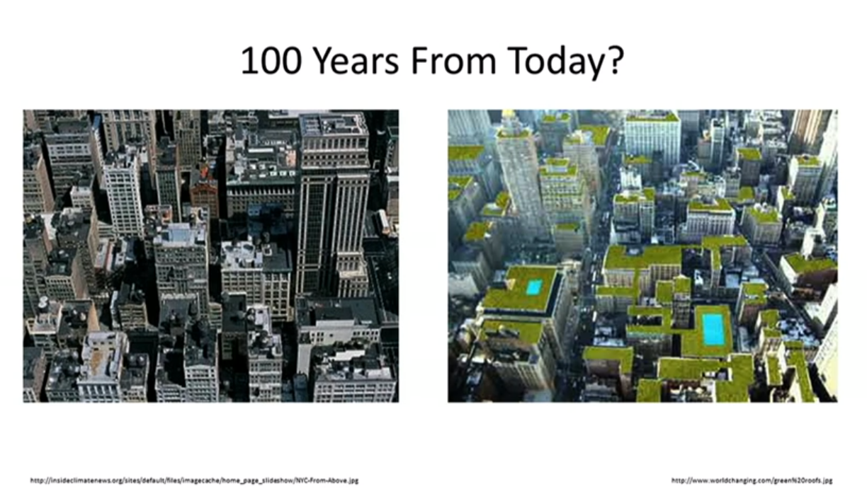 天台綠化後，100年後的今日會是這個樣子