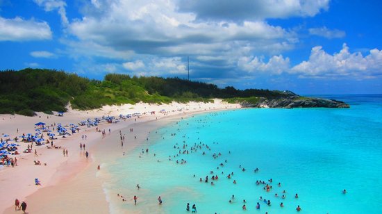 「百慕達馬蹄灣」 欣賞美麗的海水及粉紅色的沙灘