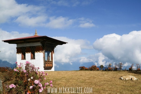 不丹 | Dochula Pass的108座佛塔