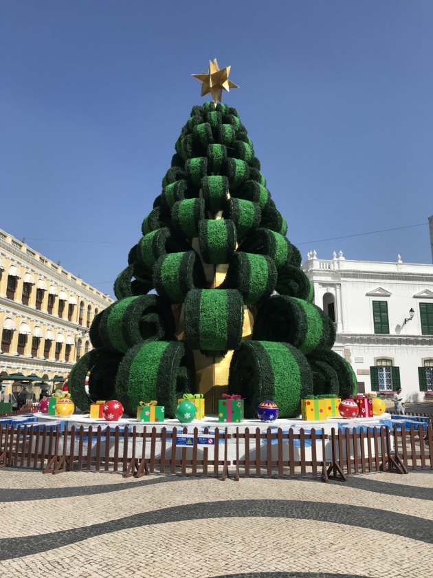 巨型聖誕樹及聖誕裝飾 @澳門議事亭前地