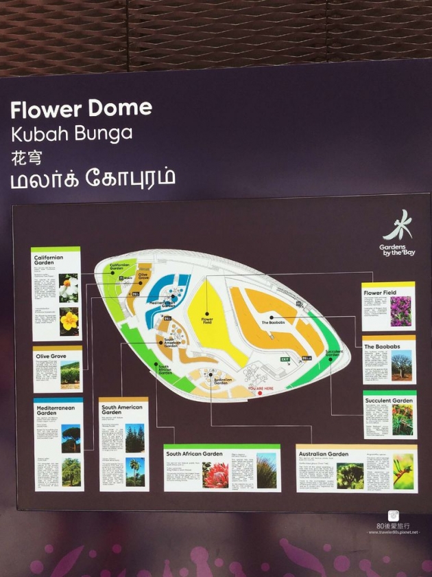 43_Flower Dome (15)_mh1593266042530_compress55.jpg