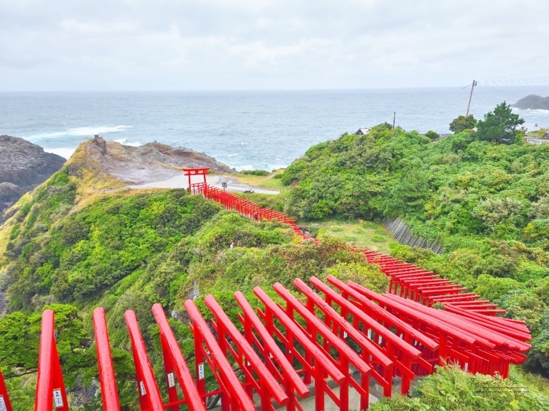 3 元乃隅神社 (186).jpg
