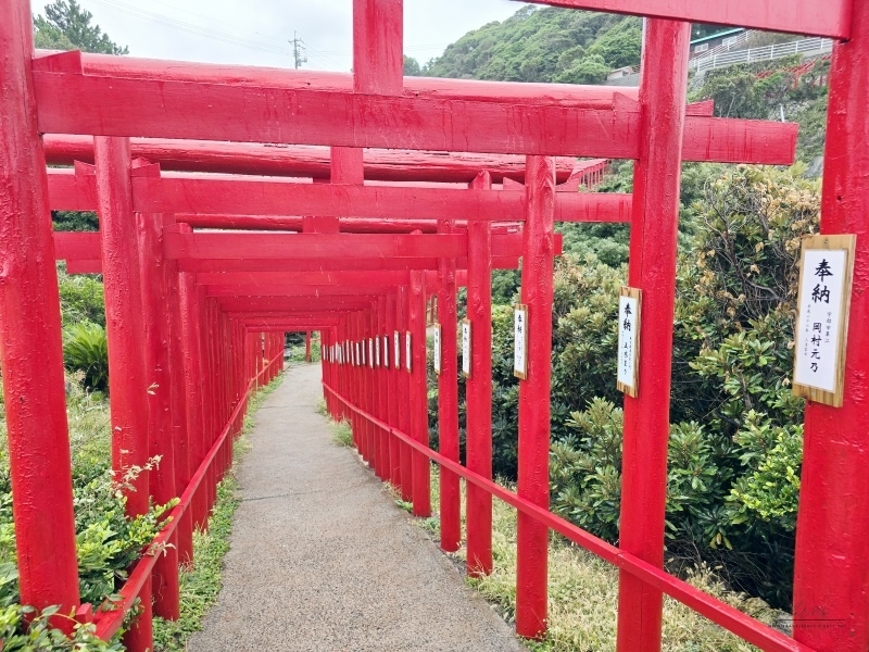 3 元乃隅神社 (152).jpg