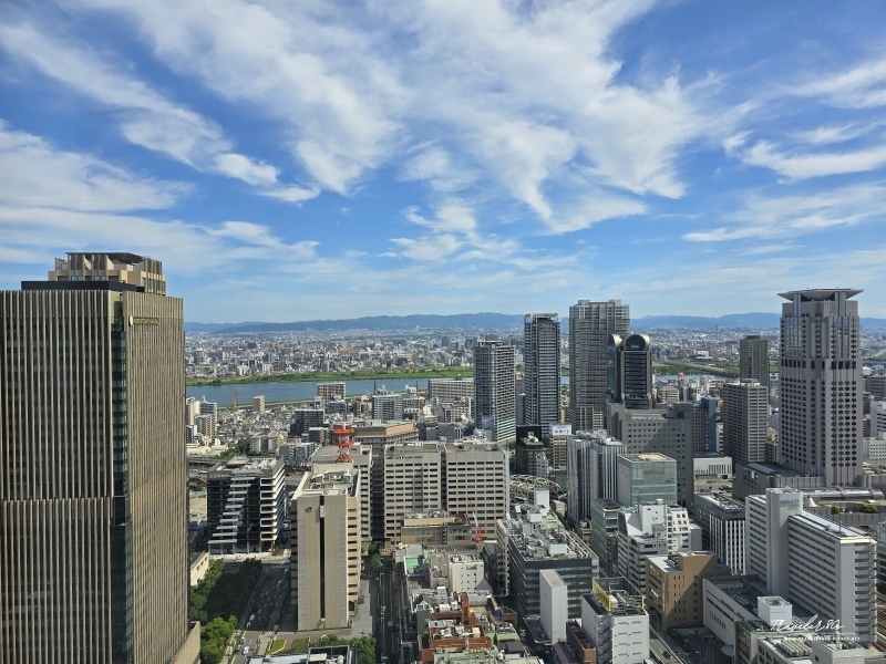 02 大阪阪急龍仕柏酒店 (55).jpg