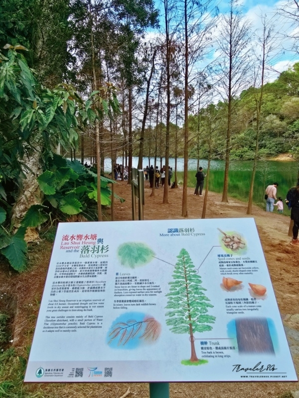 流水響水塘 23.jpg