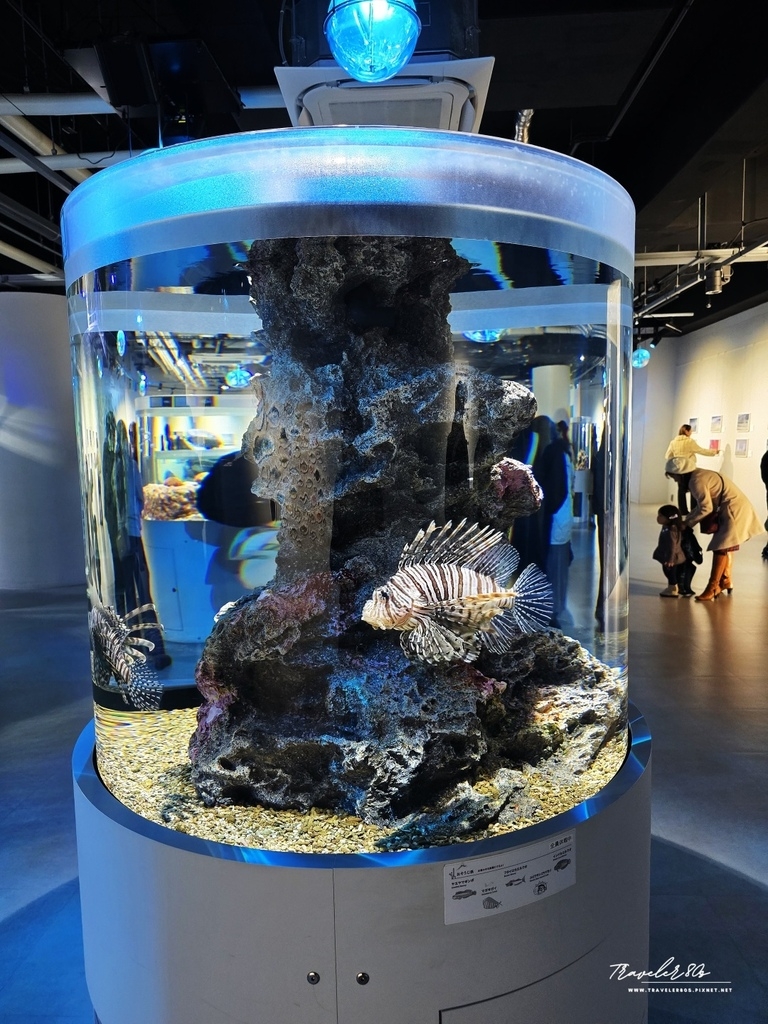 【日本。神戶】※景點※ AQUARIUM × ART áto