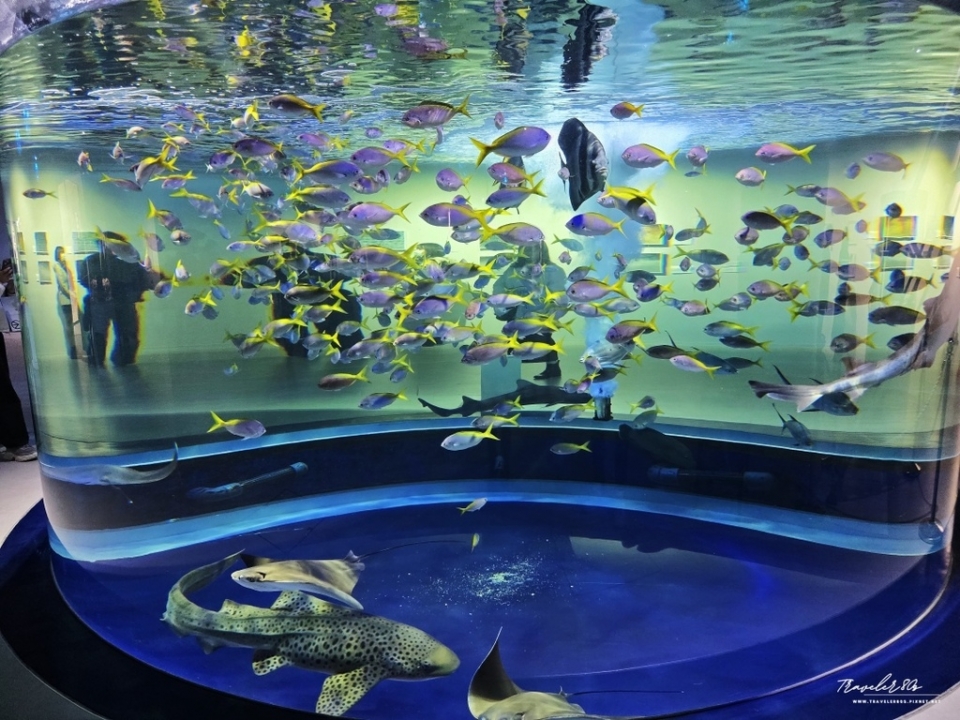【日本。神戶】※景點※ AQUARIUM × ART áto