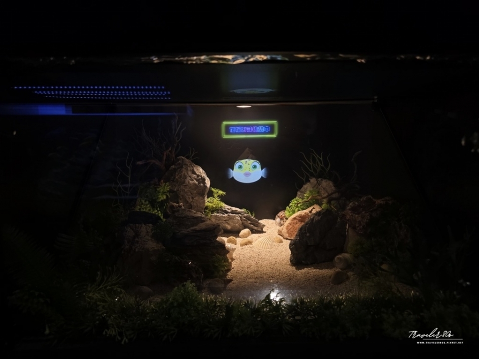 【日本。神戶】※景點※ AQUARIUM × ART áto