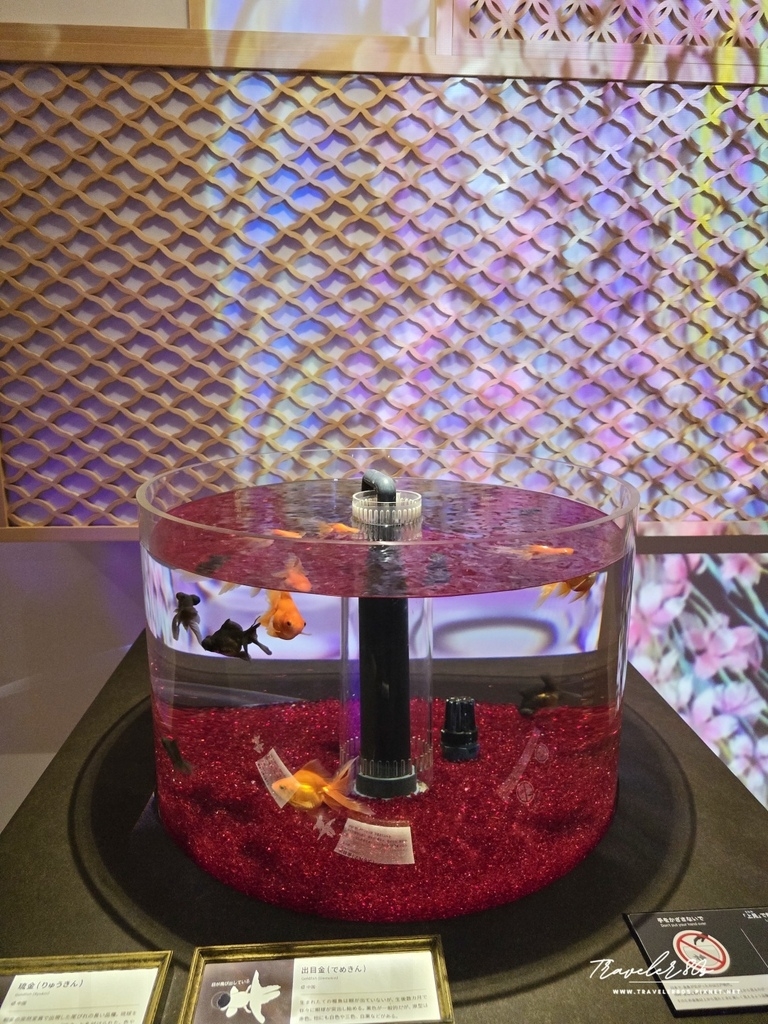 【日本。神戶】※景點※ AQUARIUM × ART áto