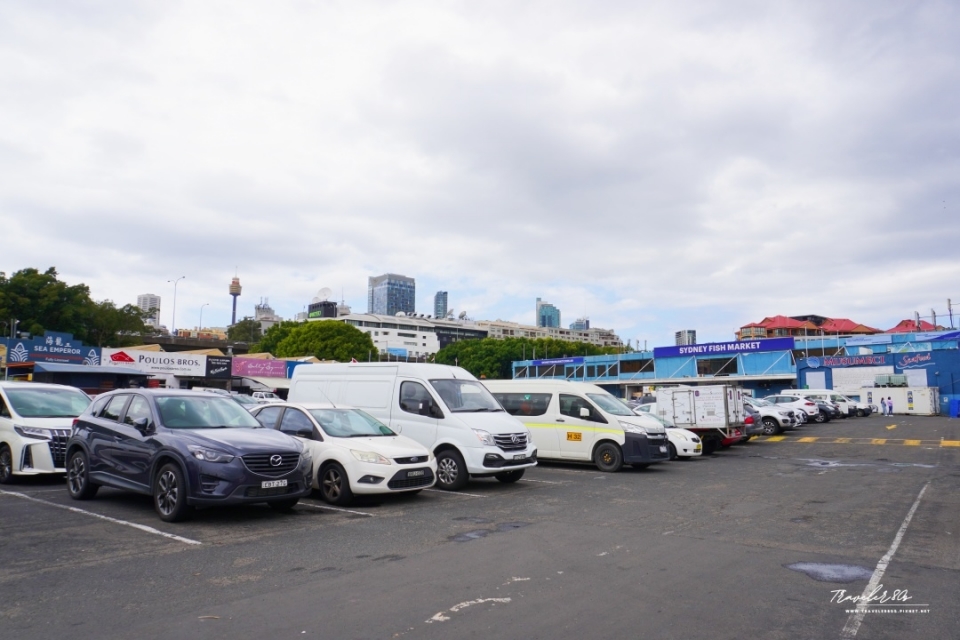 【澳洲 自駕。】Sydney Fish Market 悉尼魚