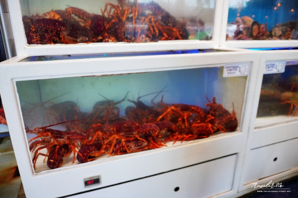 【澳洲 自駕。】Sydney Fish Market 悉尼魚