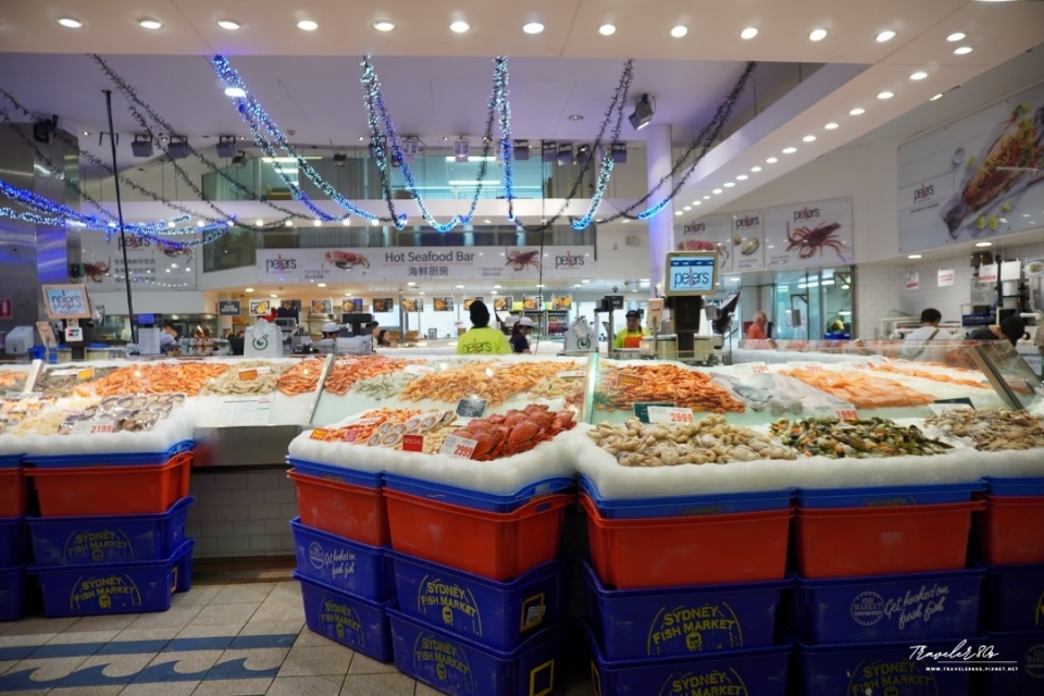 【澳洲 自駕。】Sydney Fish Market 悉尼魚