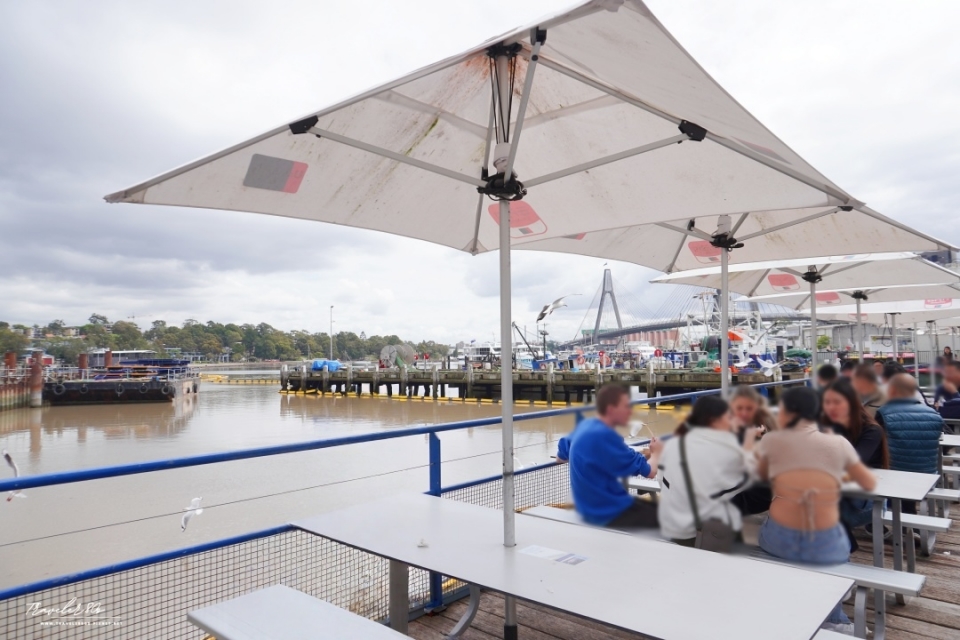 【澳洲 自駕。】Sydney Fish Market 悉尼魚