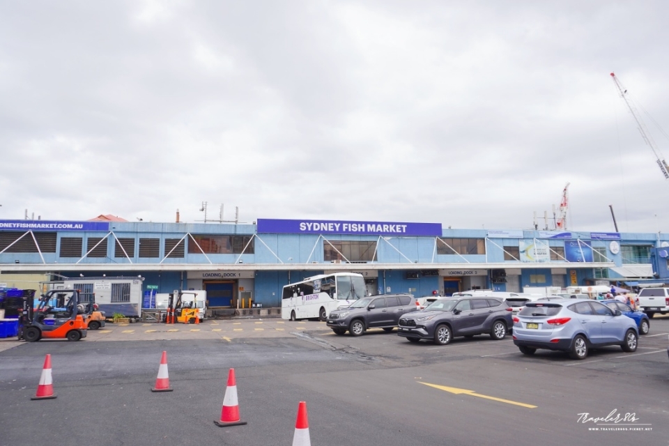 【澳洲 自駕。】Sydney Fish Market 悉尼魚