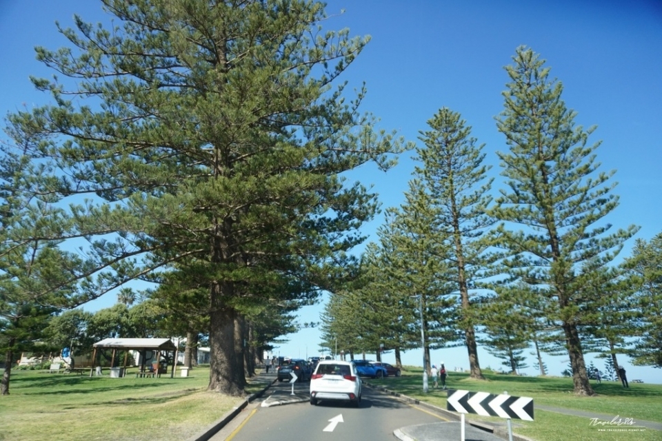 【澳洲 自駕。悉尼 周邊】※景點※ Kiama Blowho