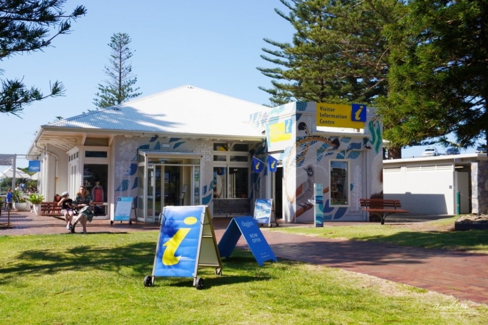 【澳洲 自駕。悉尼 周邊】※景點※ Kiama Blowho