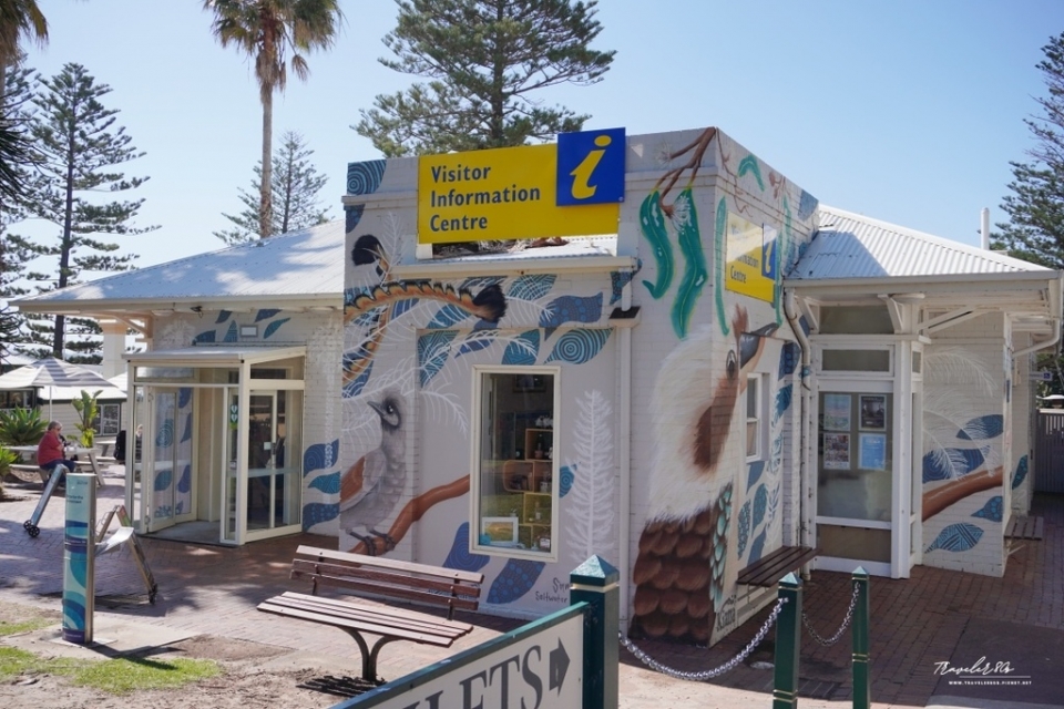 【澳洲 自駕。悉尼 周邊】※景點※ Kiama Blowho