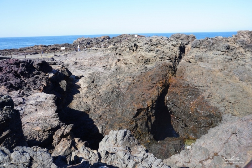 【澳洲 自駕。悉尼 周邊】※景點※ Kiama Blowho