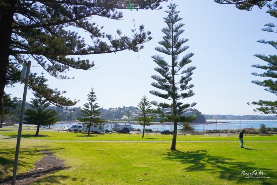 【澳洲 自駕。悉尼 周邊】※景點※ Kiama Blowho