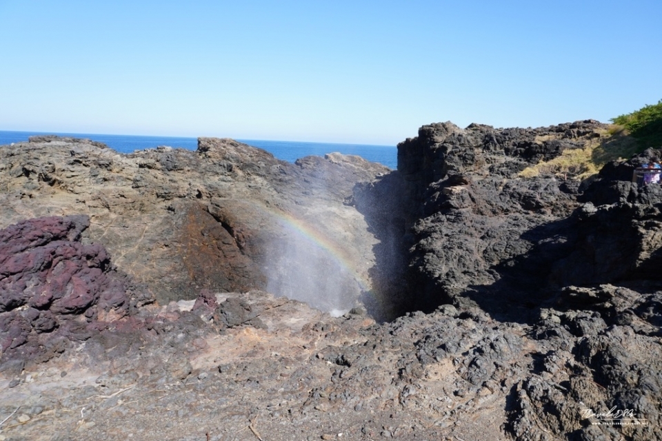 【澳洲 自駕。悉尼 周邊】※景點※ Kiama Blowho