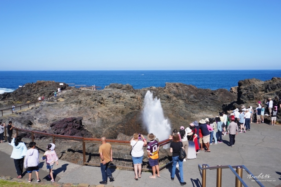 【澳洲 自駕。悉尼 周邊】※景點※ Kiama Blowho